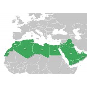 MENA
